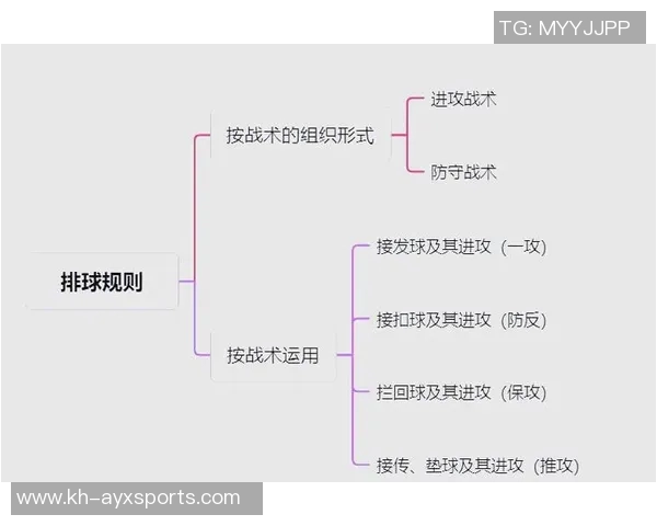 英超新手必看排球意识全面提升指南助你快速掌握技巧与战术